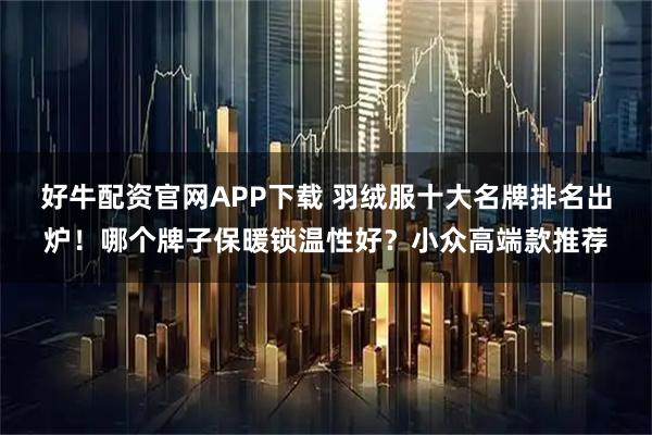 好牛配资官网APP下载 羽绒服十大名牌排名出炉！哪个牌子保暖锁温性好？小众高端款推荐