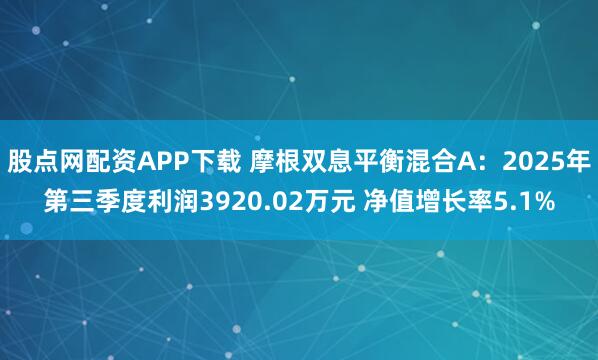 股点网配资APP下载 摩根双息平衡混合A：2025年第三季度利润3920.02万元 净值增长率5.1%