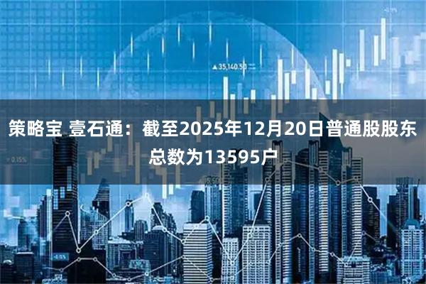 策略宝 壹石通：截至2025年12月20日普通股股东总数为13595户