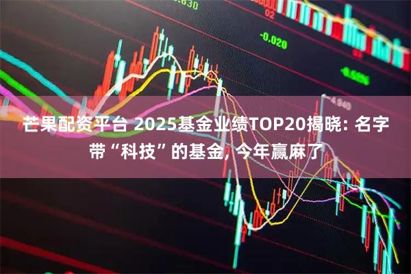 芒果配资平台 2025基金业绩TOP20揭晓: 名字带“科技”的基金, 今年赢麻了