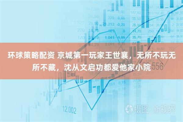 环球策略配资 京城第一玩家王世襄，无所不玩无所不藏，沈从文启功都爱他家小院