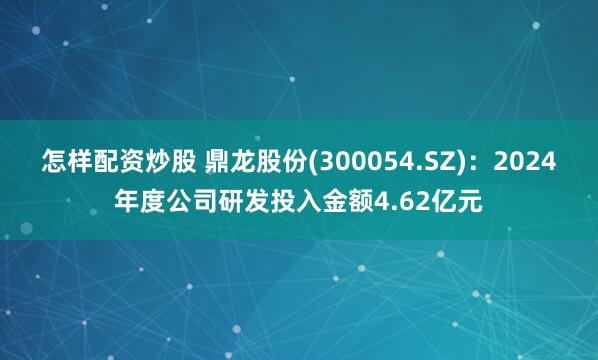 怎样配资炒股 鼎龙股份(300054.SZ)：2024年度公司研发投入金额4.62亿元
